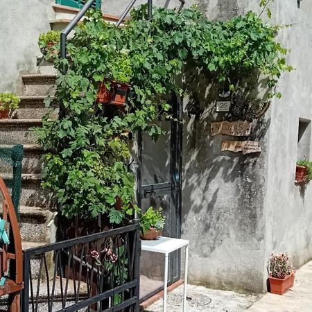 Nicolas House Campiglia dʼOrcia Eksteriør bilde