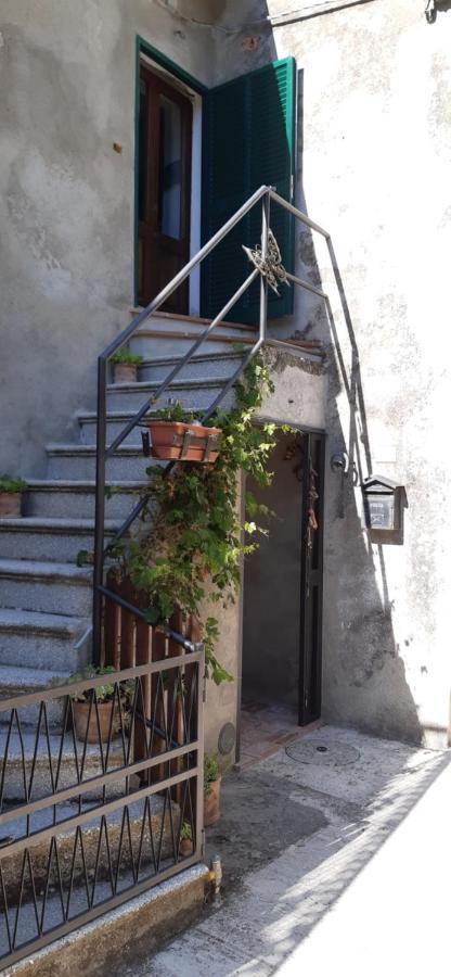 Nicolas House Campiglia dʼOrcia Eksteriør bilde
